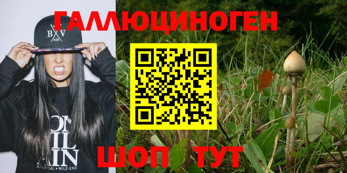 Сарапул  Галлюциногенные грибы MAGIC MUSHROOMS  Псилоцибиновые грибы Magic Shrooms  Вход с VPN 